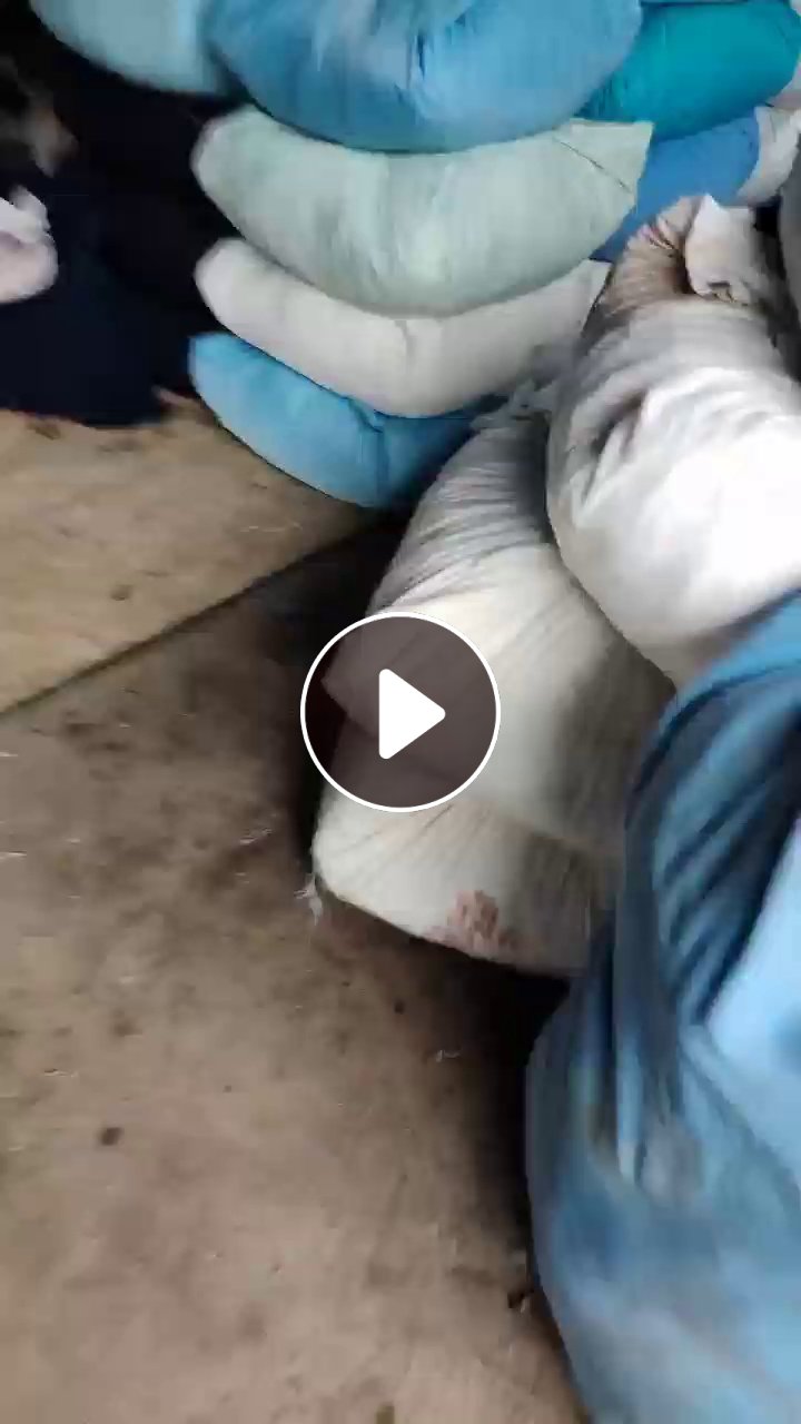 长期出售涤纶废布和涤氨废布，分开装了，染厂下来的大块布，现货20多吨，厂在江苏苏州