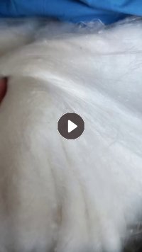 长期出售旧蚕丝被,蚕丝下脚料,货在河南郑州