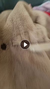 长期出售旧毛绒睡衣统货,绒睡衣,现货有6.8一车,货在河南郑州