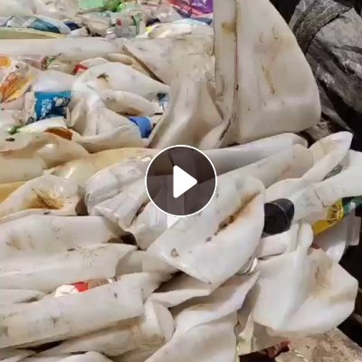 长期出售涂料桶压块（白色占80%以上）