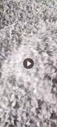 长期出售PP破碎料（PP摩托车坐垫），白丙破碎料