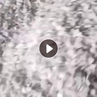 长期出售PP破碎料(PP摩托车坐垫),白丙破碎料