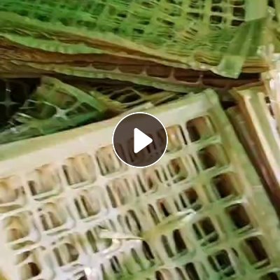 厂家出售PET吸塑盒边料，食品厂下来的边料，透明，带颜色的都有，月供20吨左右