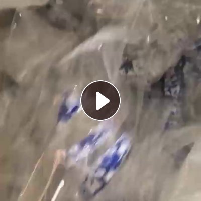 长期出售pet卷膜，少部分带印花