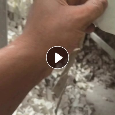 出售涤纶过滤布，涤纶滤布，有清洗的和没有清洗的，现货有30吨左右，货在河南南阳