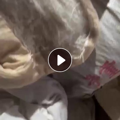 分拣场长期出售蚕丝被，厂在广东茂名