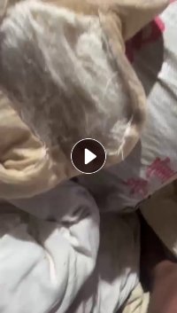 分拣场长期出售蚕丝被,厂在广东茂名