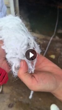 长期出售氨纶废丝，氨纶干丝，月供40吨左右，货在安徽芜湖