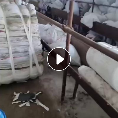 长期大量出售白色毛衣片，涤纶高弹丝，开花料，货在安徽阜阳