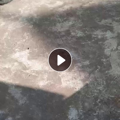 长期出售电摩胎废料