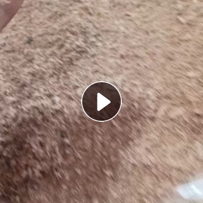 长期出售木屑，燃烧料，有压包，货在上海