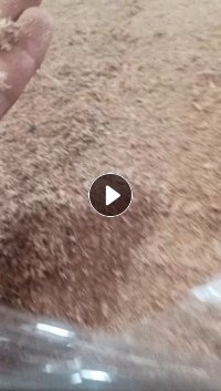 长期出售木屑，燃烧料，有压包，货在上海