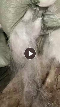 长期出售白色涤纶废丝，低弹丝，可以造粒，现货有30吨，货在河北保定