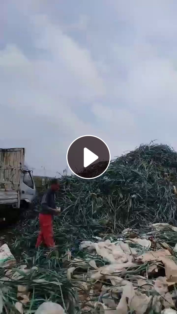 出售光伏厂下来的绿色PET打包带毛料，月供五六十吨
