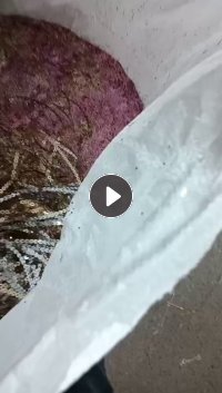 出售绣花厂下来的亮片料，月供150吨