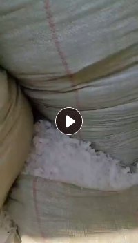 长期出售车床车下来的pe刨花废料