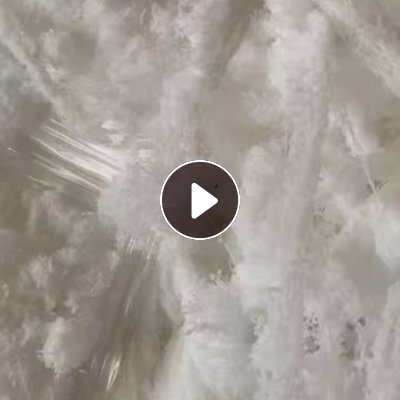 长期出售白色涤氨干丝，涤氨废丝，月供十来吨，货在江苏张家港