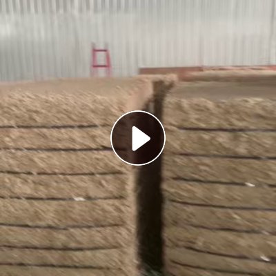 长期出售本色的利乐包纸浆，含水50%左右