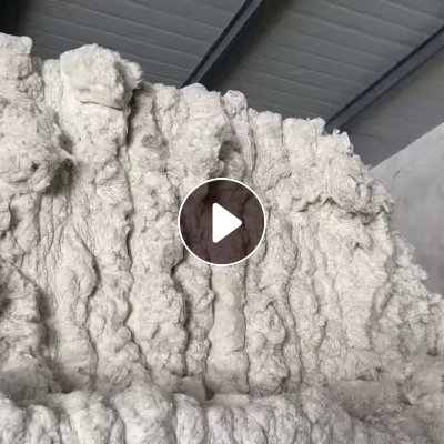 长期出售环锭纺下来的纯棉车肚，现货十多吨，厂在河北石家庄