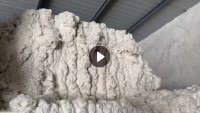 长期出售环锭纺下来的纯棉车肚,现货十多吨,厂在河北石家庄