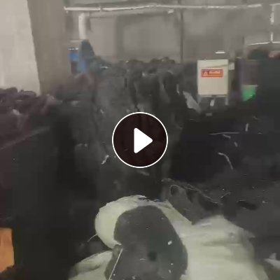 本厂大量回收黑色的丙纶、涤丙地毯料，丙纶地毯料，要厚一些的，一年收五六百吨