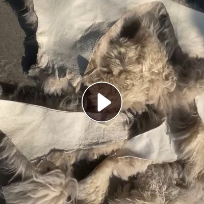 工厂长期出售羊毛下脚料，羊皮带羊毛，坐垫下脚料。现货2吨左右，厂在浙江嘉兴