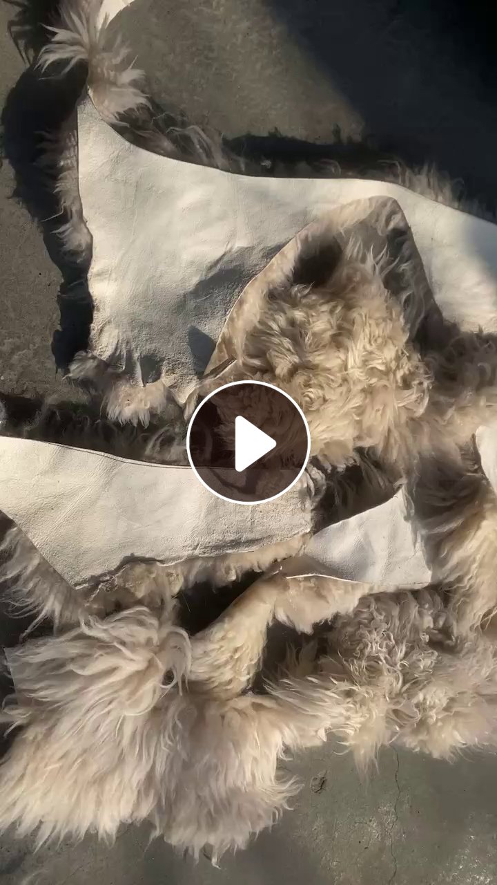 工厂长期出售羊毛下脚料，羊皮带羊毛，坐垫下脚料。现货2吨左右，厂在浙江嘉兴