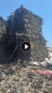 出售滴灌带混合料，没有灌肠