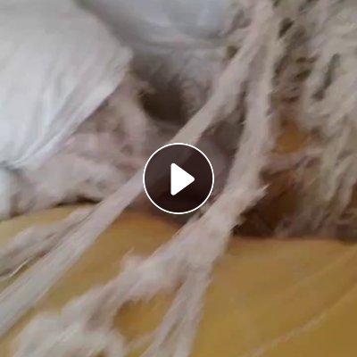 长期出售气流纺下来的涤棉回丝，含棉百分之40左右，现货15吨左右