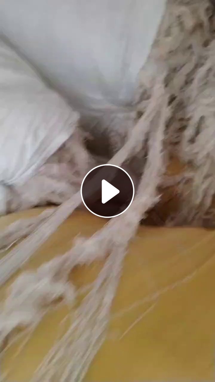 长期出售气流纺下来的涤棉回丝，含棉百分之40左右，现货15吨左右