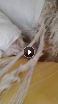 长期出售气流纺下来的涤棉回丝,含棉百分之40左右,现货15吨左右