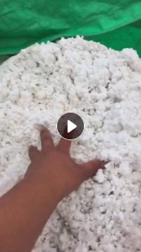 长期出售染厂含水的涤纶磨毛料，毛毛料，可以做油漆，含水60左右