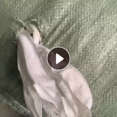 长期出售PET拉链，有带布的和没带布的，现货4吨左右，厂在江苏常州