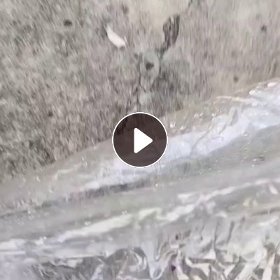 出售涤纶油纸，PET膜废料