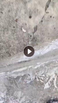 出售涤纶油纸，PET膜废料