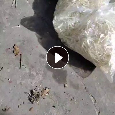 出售装沥青下来的PET边角料，PET膜废料