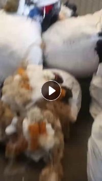 长期出售锦纶废丝，锦纶料块，丝和料块一个月5吨左右， 丝占比一吨多，厂在江苏常州