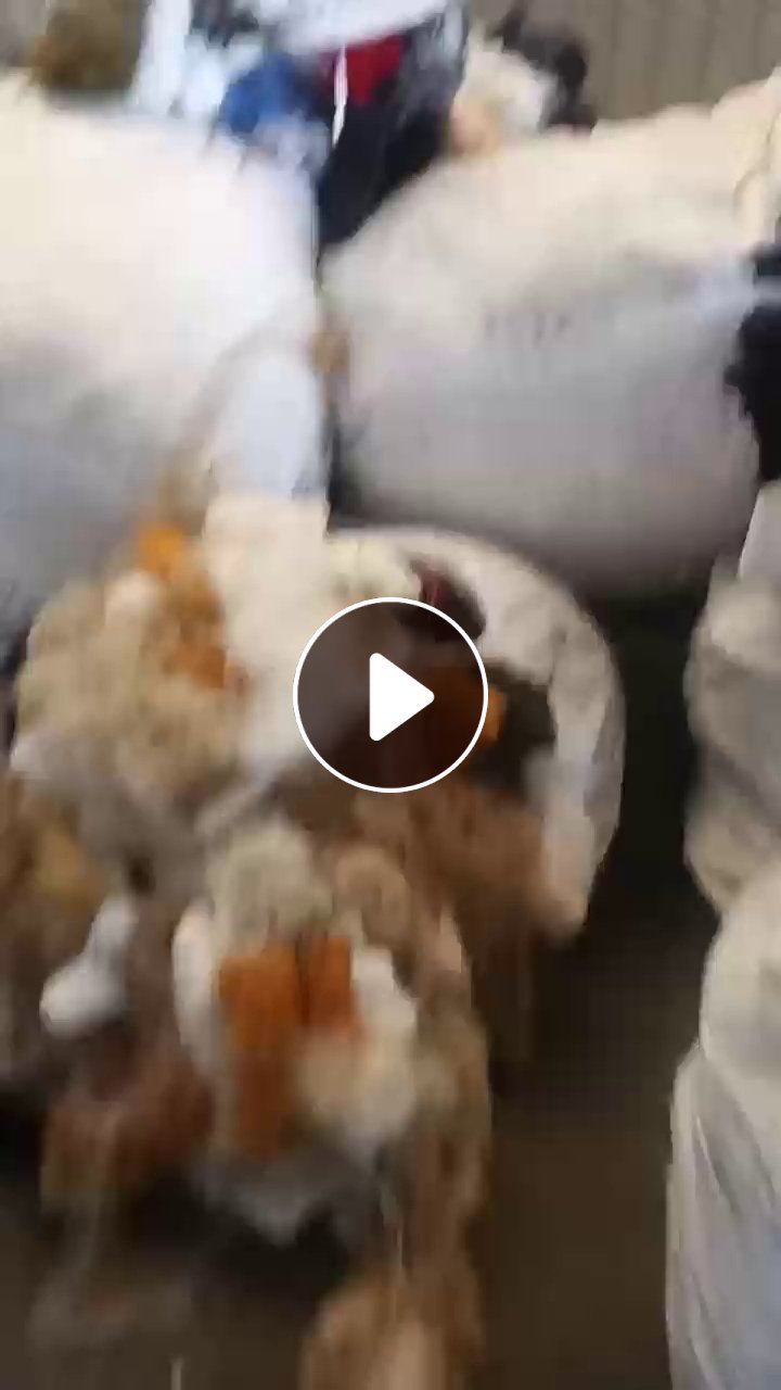 长期出售锦纶废丝，锦纶料块，丝和料块一个月5吨左右， 丝占比一吨多，厂在江苏常州