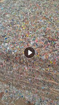 出售沉底商标纸破碎料，现货九米六一车