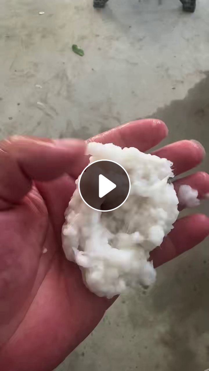 出售结厕纸加工的水洗白色纸浆