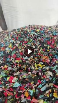 长期出售PP童车破碎料，全漂，清洗甩干，冲击10左右