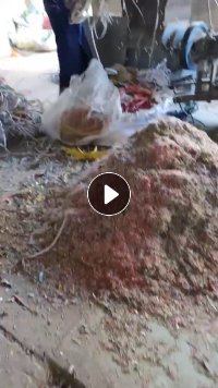 收购pp沉水打包带毛料,打包带破碎料,月需200吨