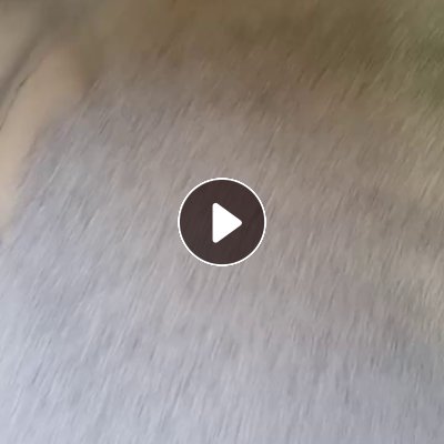 长期出售珍珠棉颗粒