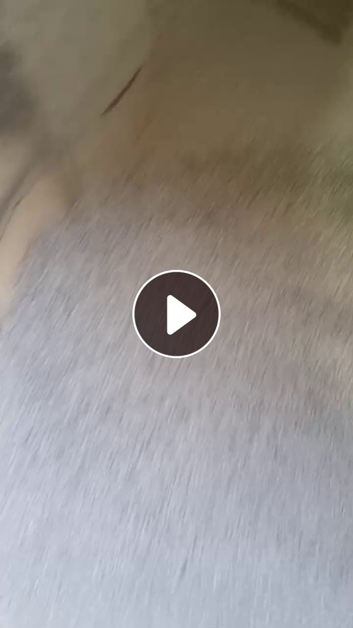 长期出售珍珠棉颗粒