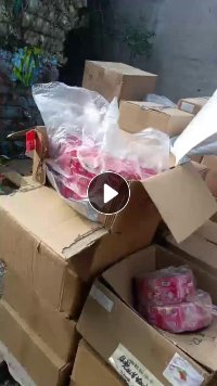 出售pet卷膜,全新料,现货10吨