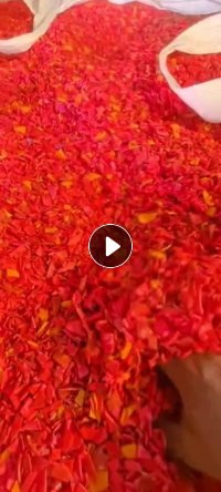 长期出售pp双胞胎胶管破碎料，红黄蓝绿都有