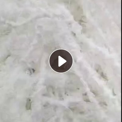 长期出售涤纶废丝，涤纶水丝，含水百分之三十，四十左右的都有，半个月出一挂车