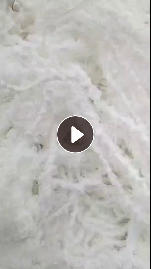长期出售涤纶废丝，涤纶水丝，含水百分之三十，四十左右的都有，半个月出一挂车