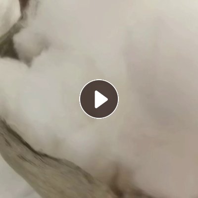 长期出售纯涤纶的 羊毛衫下脚料。高弹的，一个月有10吨左右， 可以开花用，厂在浙江嘉兴