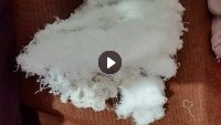 长期出售涤纶弹丝,加弹机下来的,一根氨纶一根涤纶低弹丝,开花造粒,每个月有大几十吨,货在浙江嘉兴